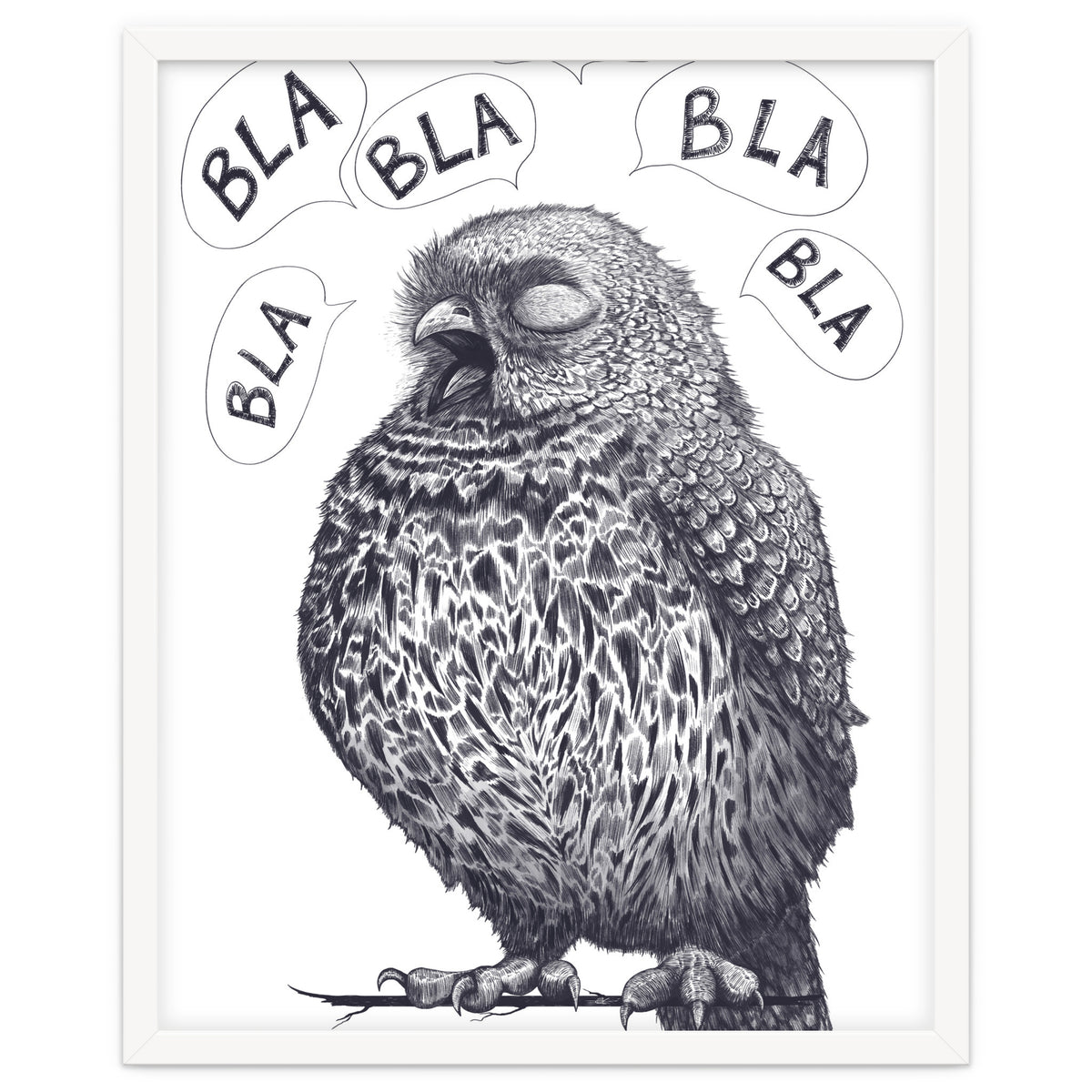 Owl Bla Bla Bla