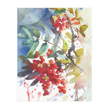 Viburnum / Guelder rose (Print Only) thumbnail