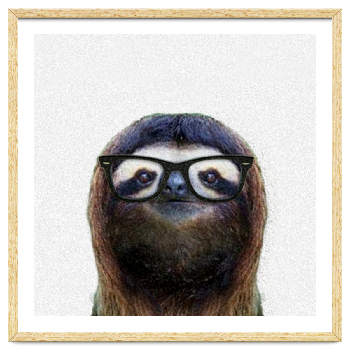 Geek Sloth