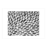 Black and white petal burst (Print Only) thumbnail