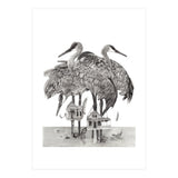 Crane Houses (Print Only) thumbnail