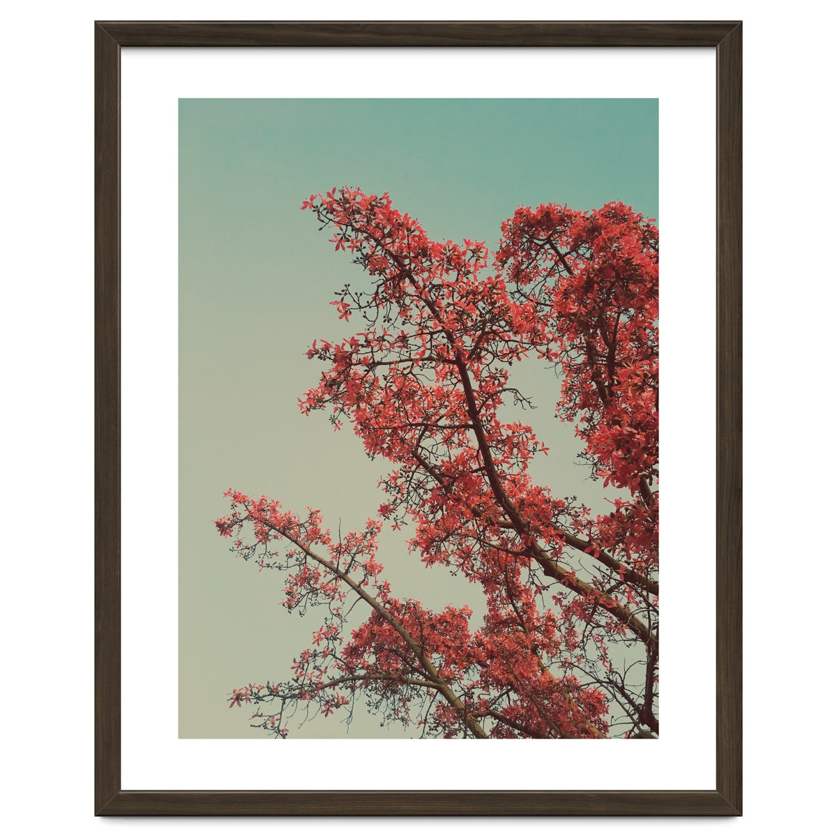 Red blossoms