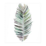 Botanical Illustration Cocos Palm (Print Only) thumbnail