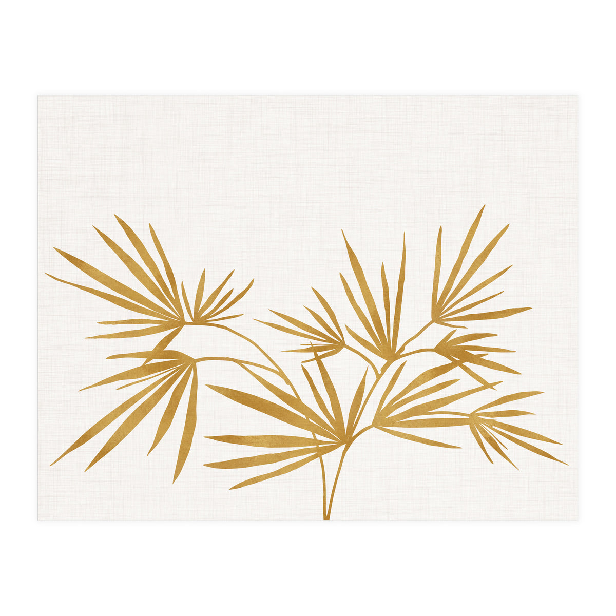 Golden Fan Palm (Print Only)