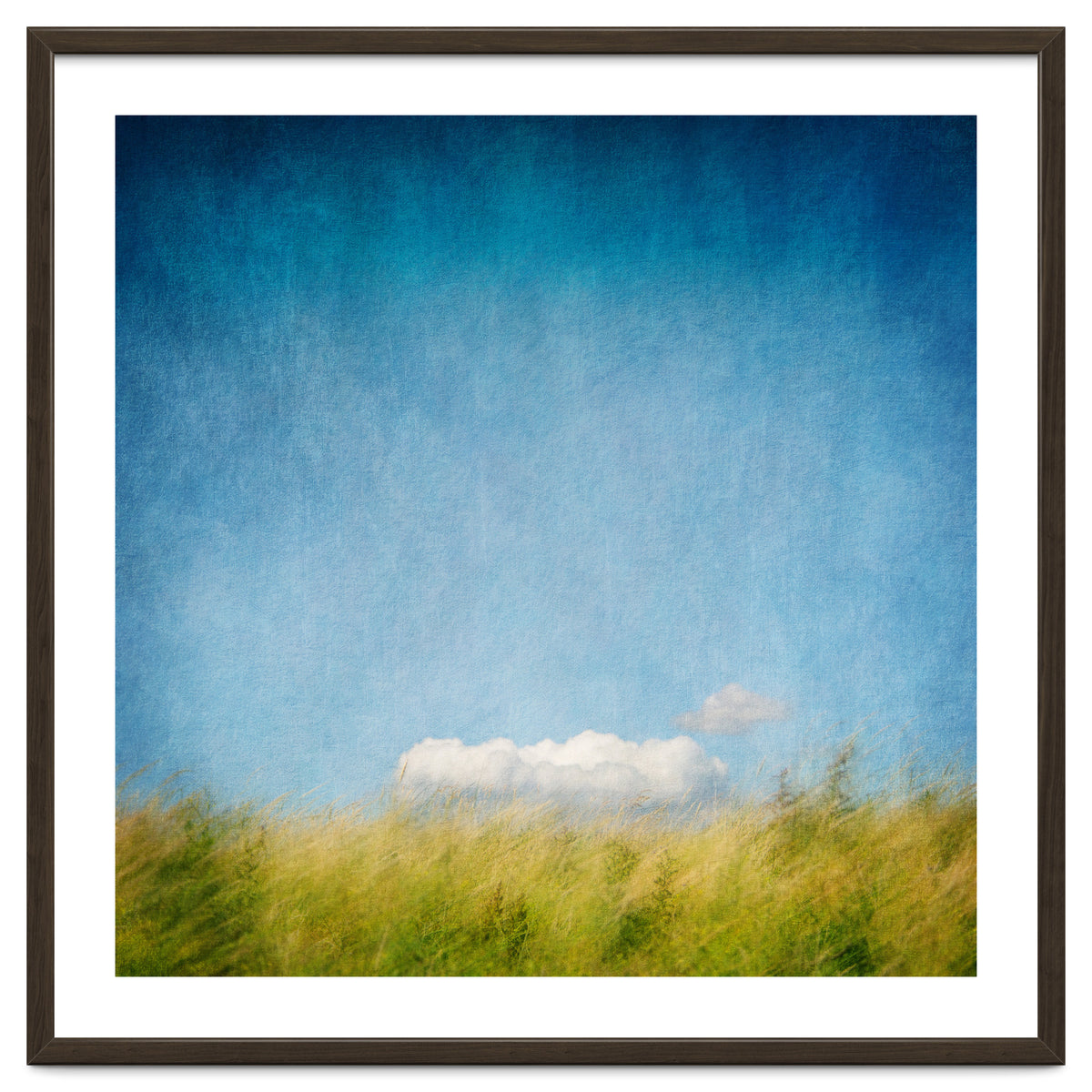 The Cloud That Fell From The Sky