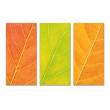 Autumn Leaves (Print Only) thumbnail