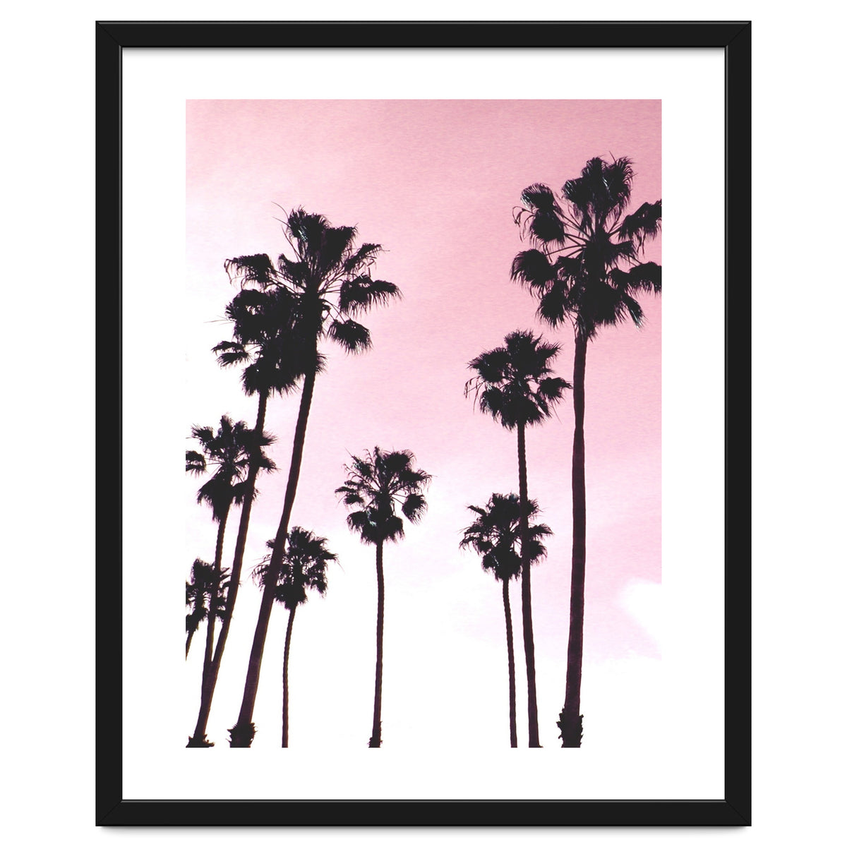 Palms & Sunset