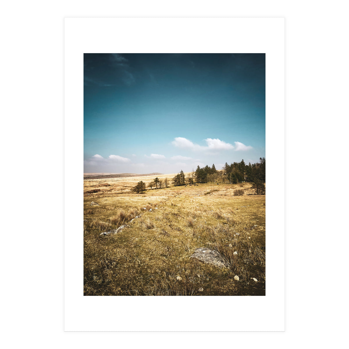 Dartmoor  (Print Only)