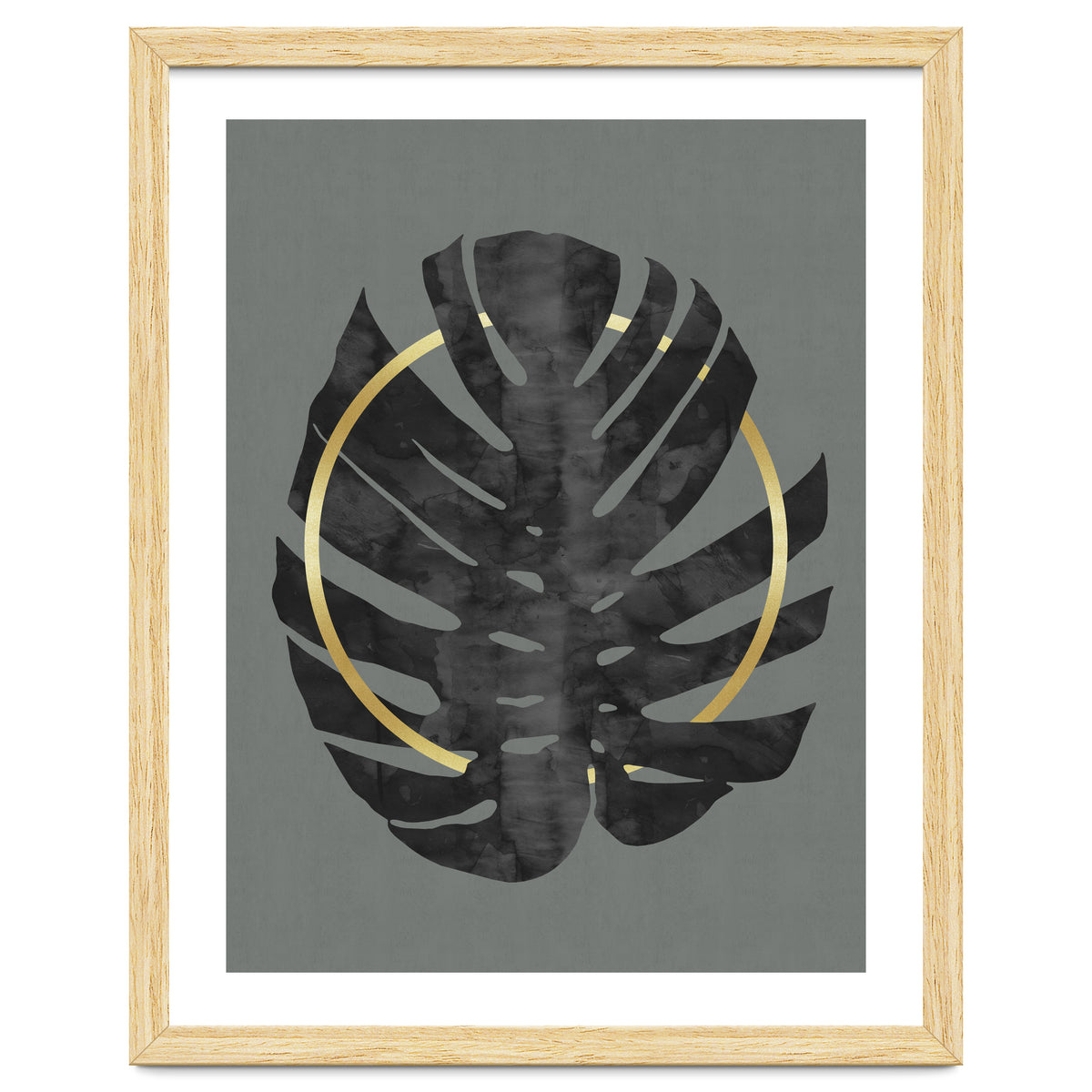 Monstera Deliciosa I