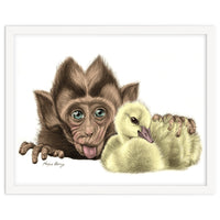 Monkey and Duckling