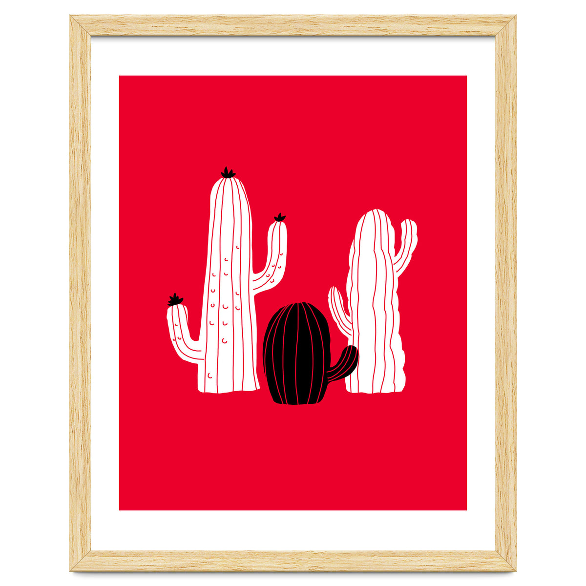 Cactus