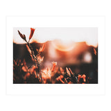 Nature (Print Only) thumbnail