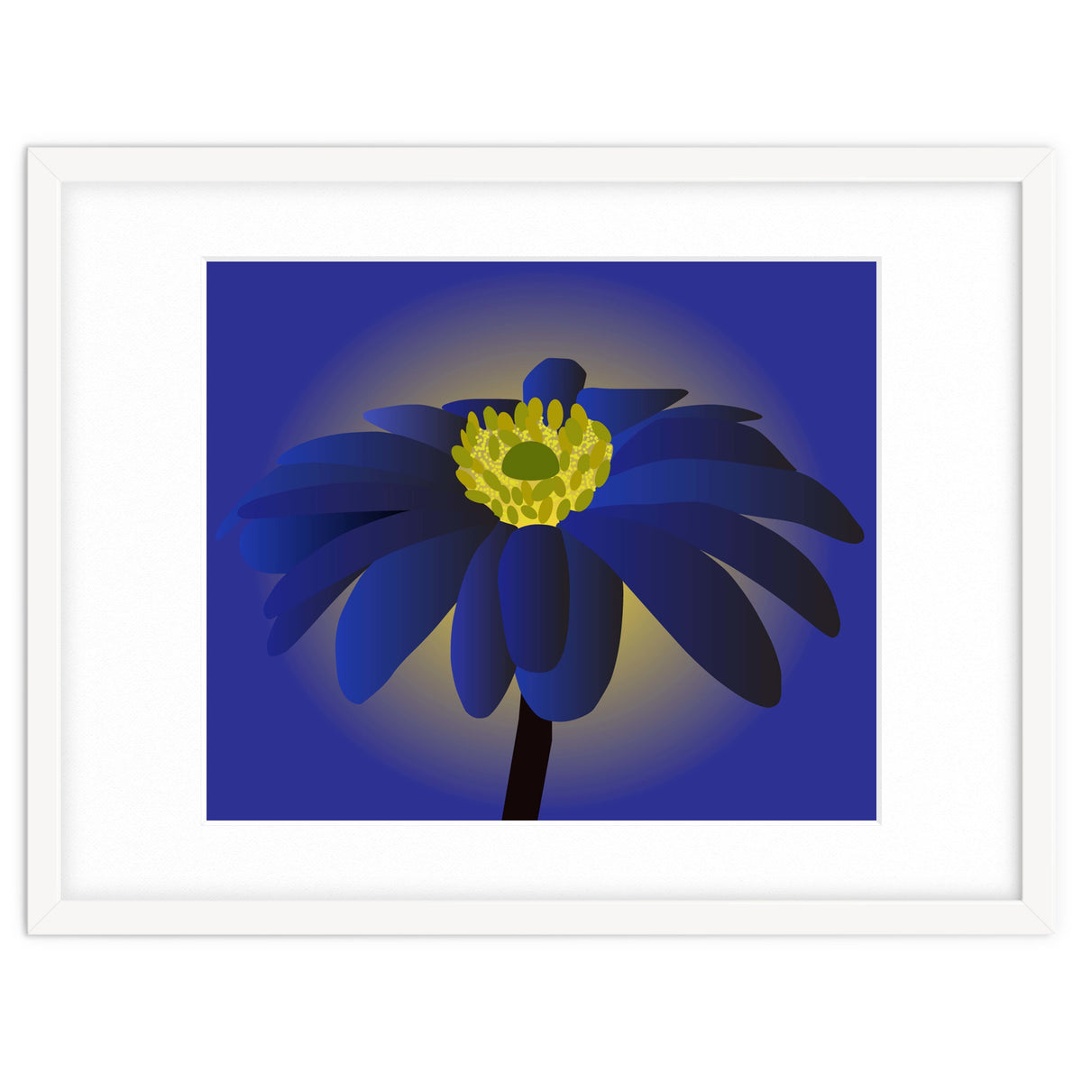 Anemone Blanda Flower Art
