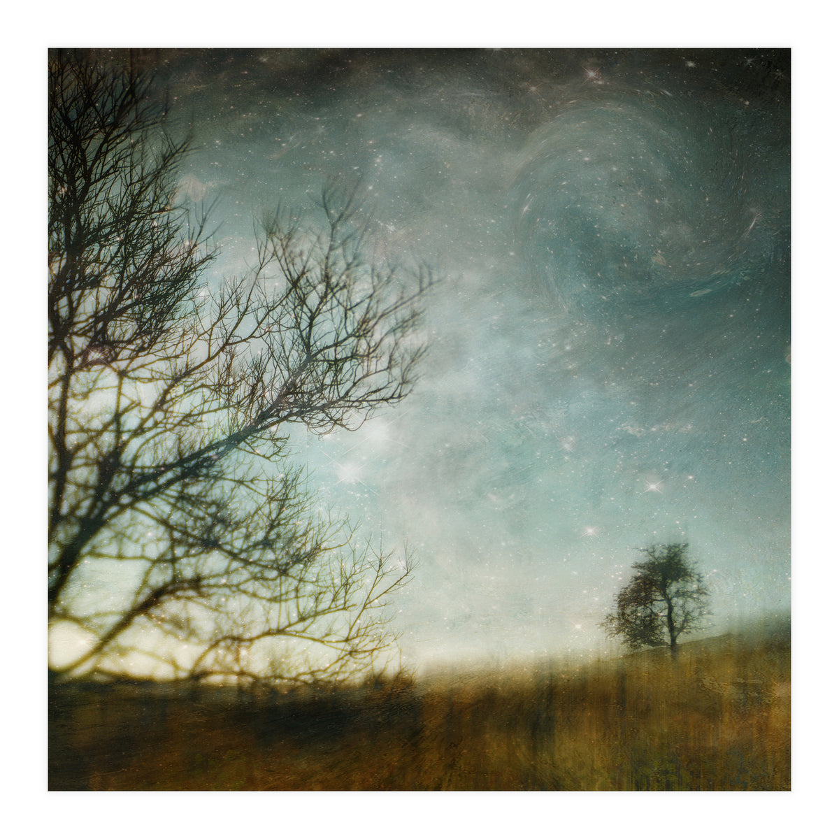 The Tree That Whispered (Print Only)