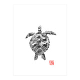 Tartoise (Print Only) thumbnail