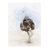 Ostrich (Print Only) thumbnail