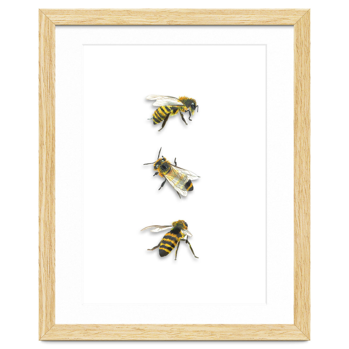 The 3 Bee's