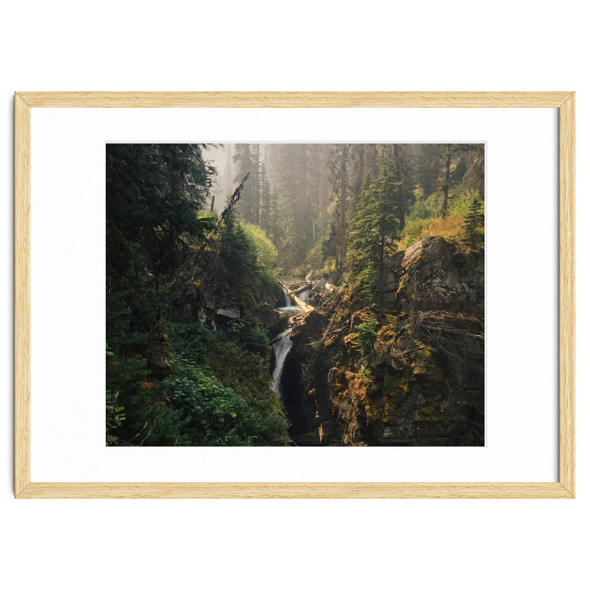 Glacier National Park I