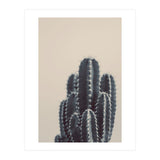 Vintage Cactus #1 (Print Only) thumbnail