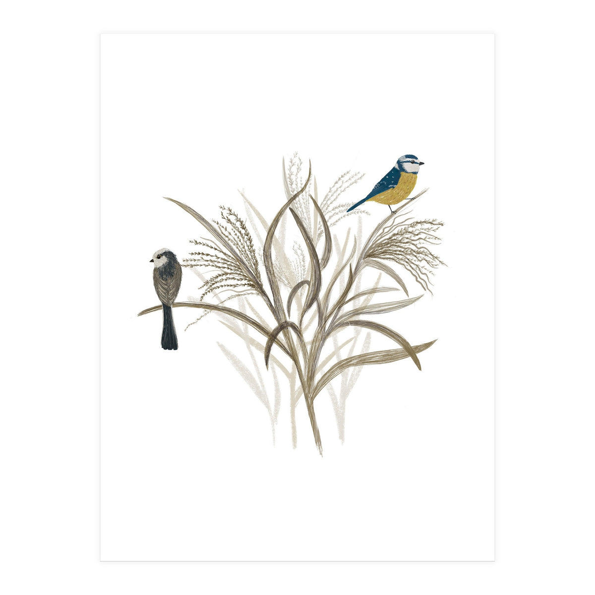 Garden Birds (Print Only)
