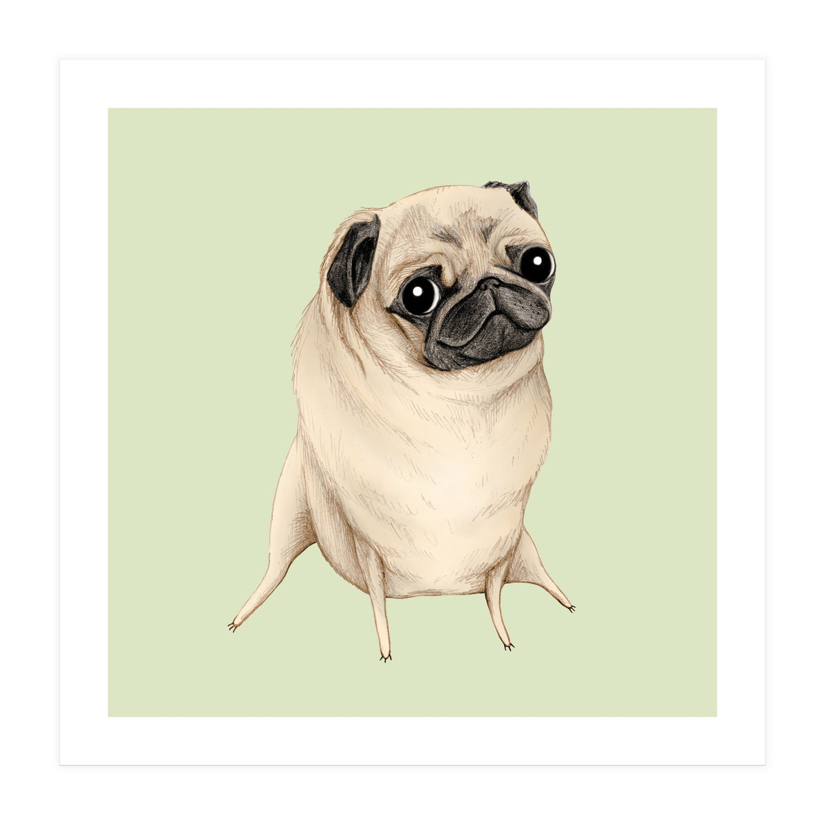 Sweet Fawn Pug (Print Only)