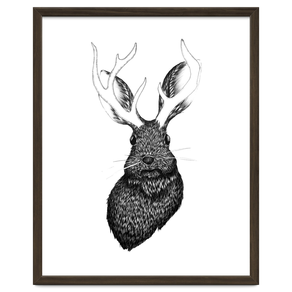 Jackalope