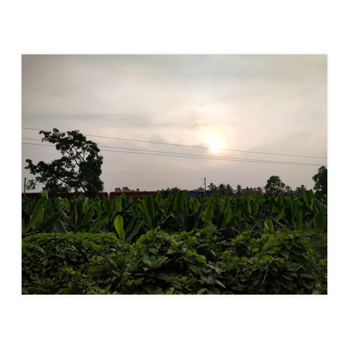 Never Ending Journey (Print Only)