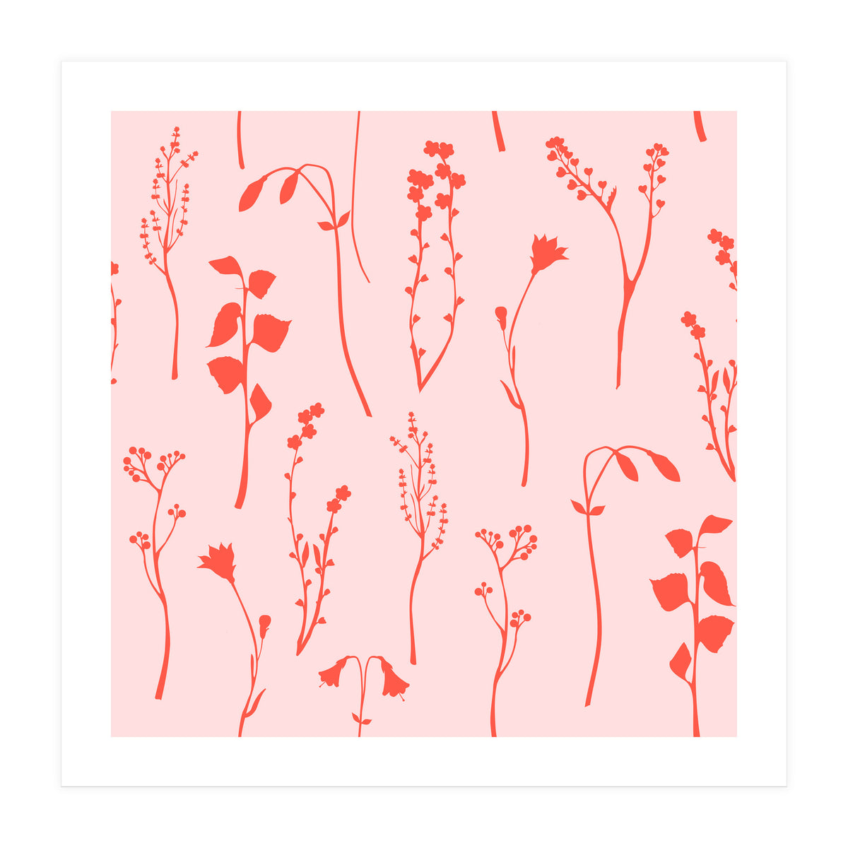 Botanical Blush (Print Only)