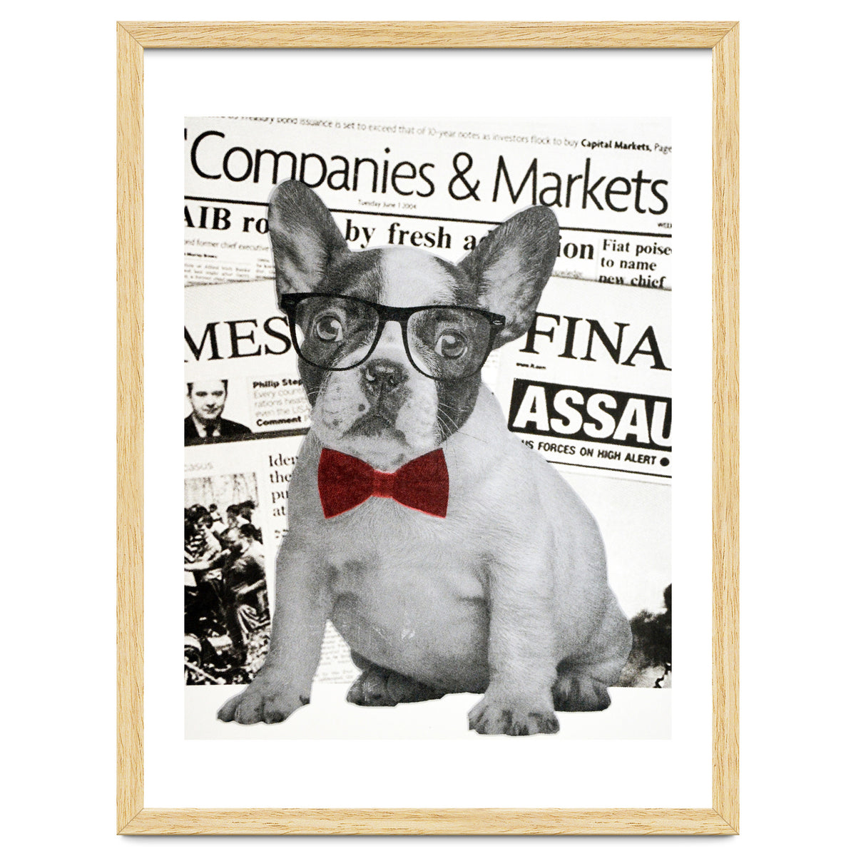 The Dog Of Wall Street