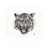 Tiger (Print Only) thumbnail