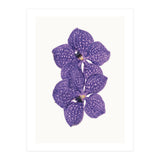 Cc Flower 06 (Print Only) thumbnail