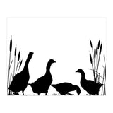 Goose talk (Print Only) thumbnail