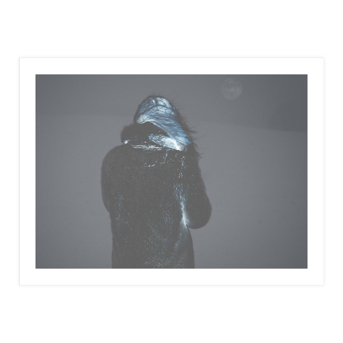 Metamorphosis (Print Only)