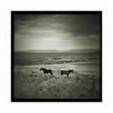 Gillen (Print Only) thumbnail