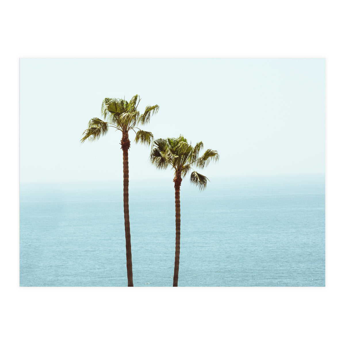 Island Dreaming (Print Only)