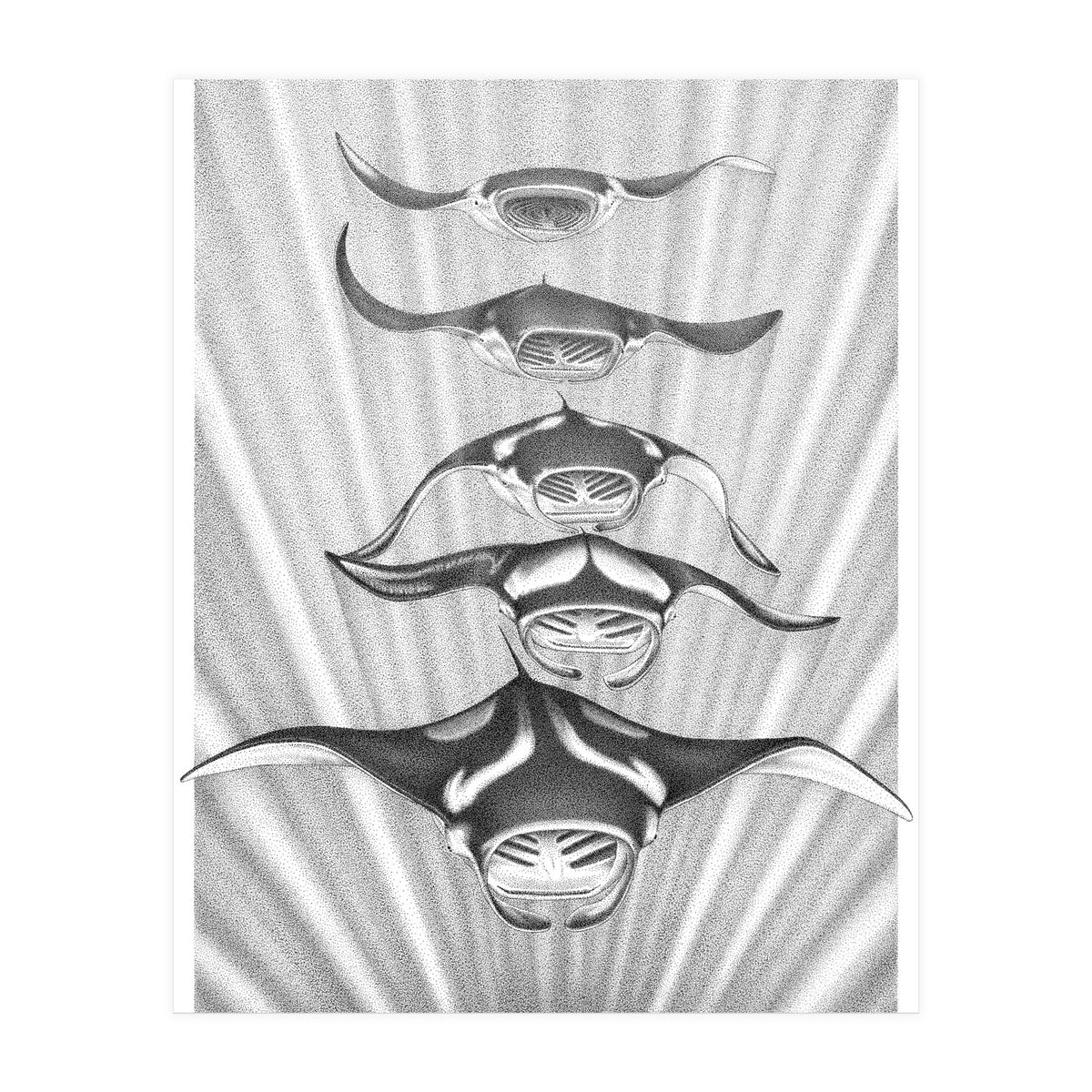 Manta Train (Print Only)