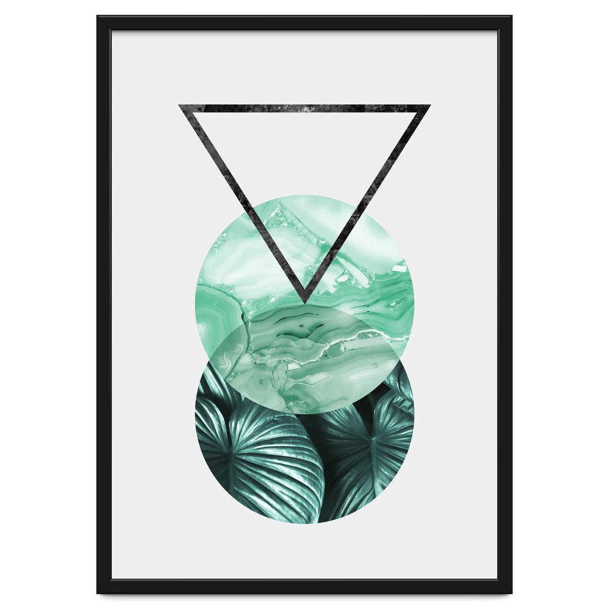 Botanical and geometric II