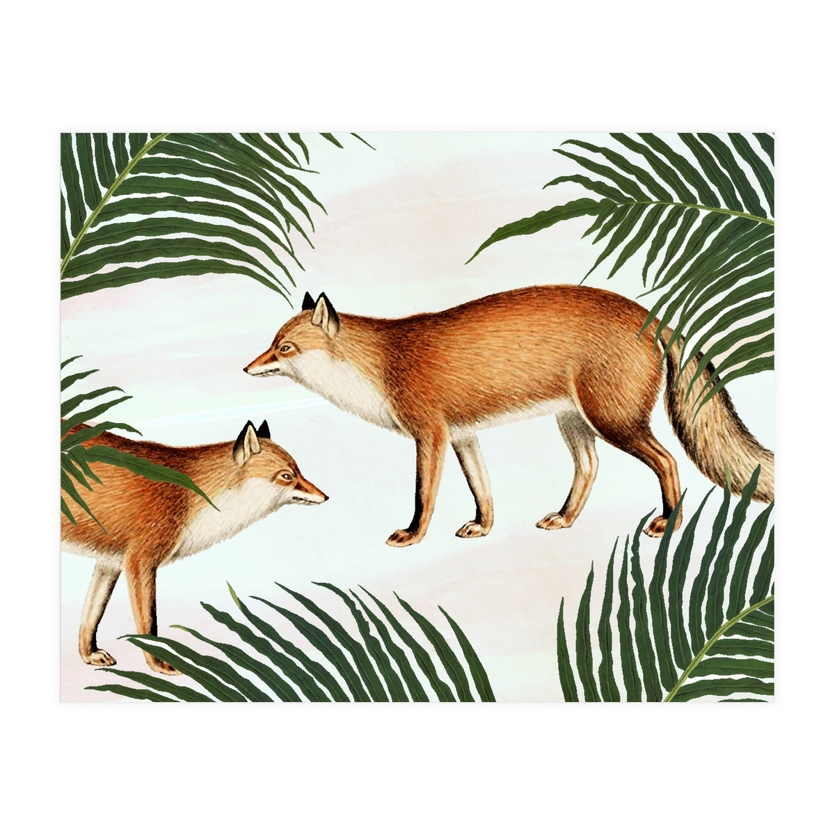 Red Fox Pair (Print Only)