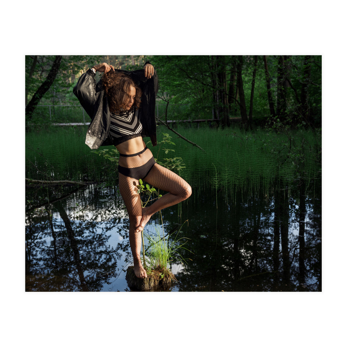 Swamp Swan (Print Only)