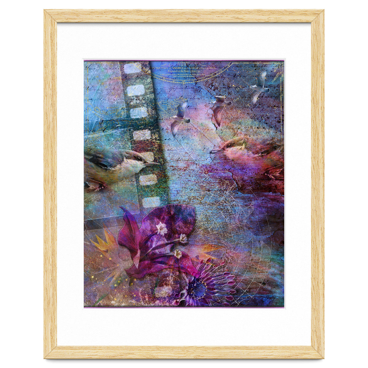 Watching the Wild World