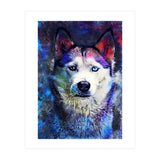 Dog Husky (Print Only) thumbnail