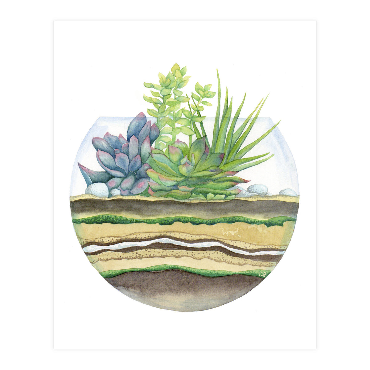 A Little Green Terrarium (Print Only)