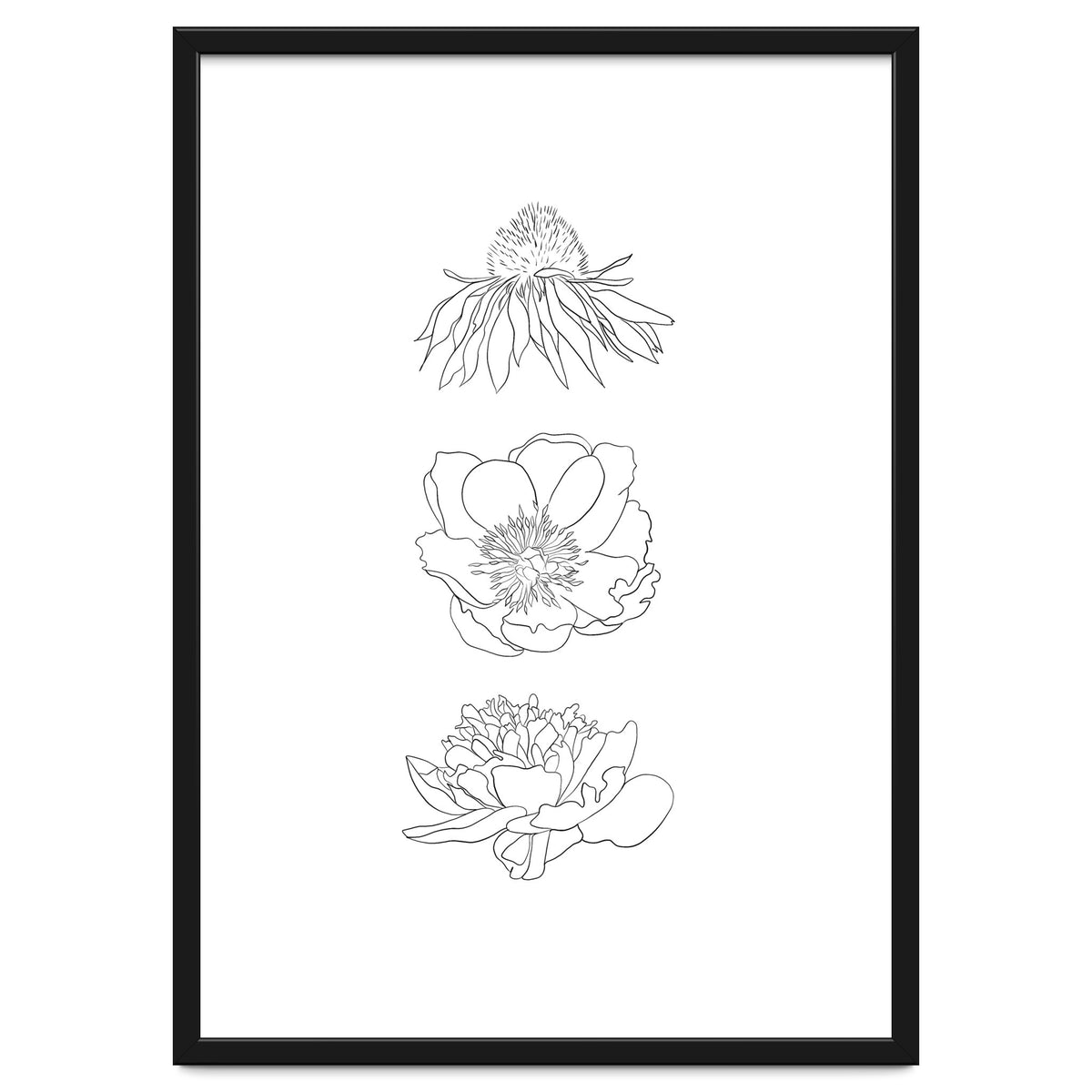 Hand Drawn Flowers