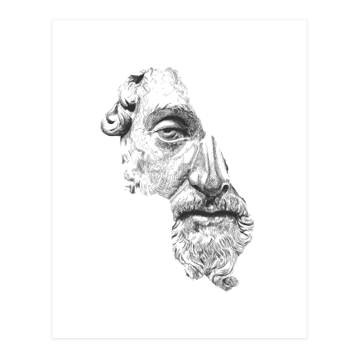 MARCUS AURELIUS ANTONINUS AUGUSTUS / black and white (Print Only)