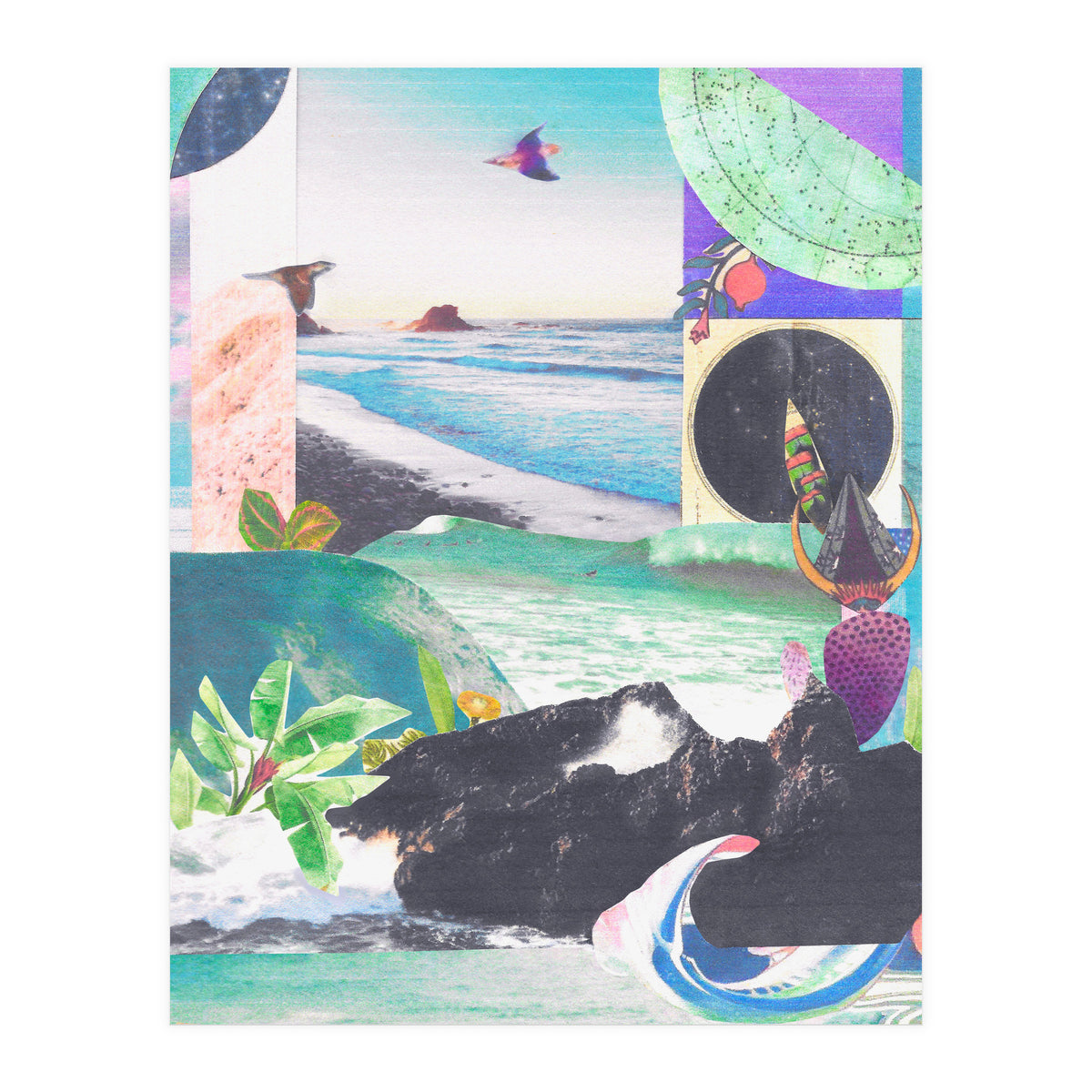 Beak Ruddy (Print Only)