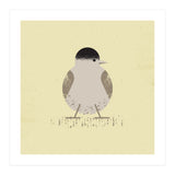 Blackcap 2 (Print Only) thumbnail