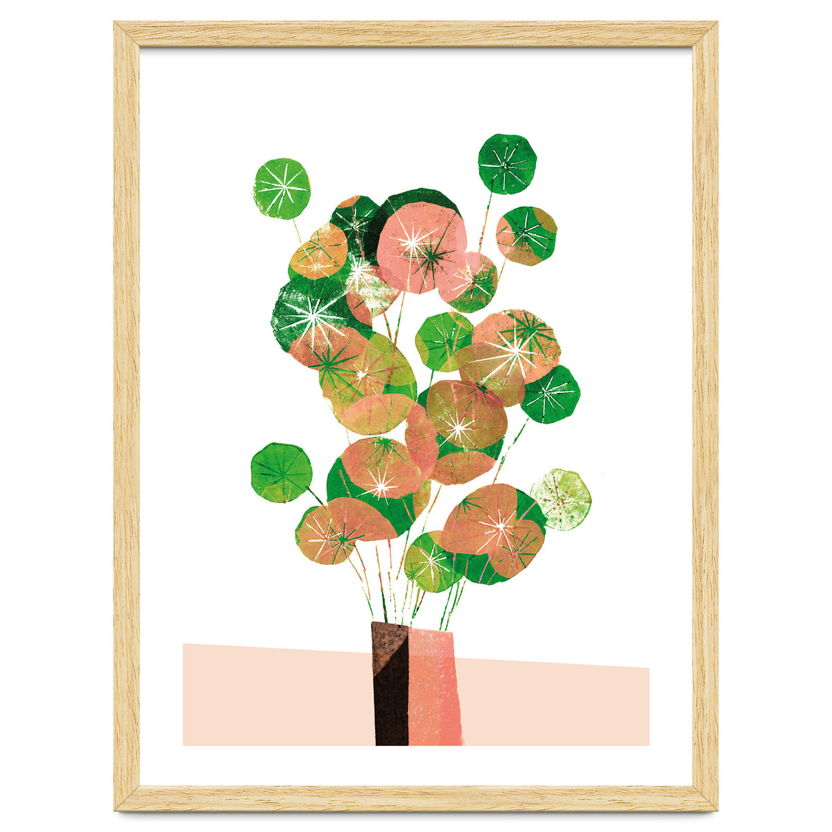 Pilea In Green And Coral