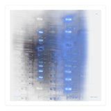 Her trip home. Six (Print Only) thumbnail