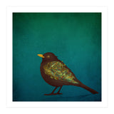 Camouflage: The Blackbird (Print Only) thumbnail