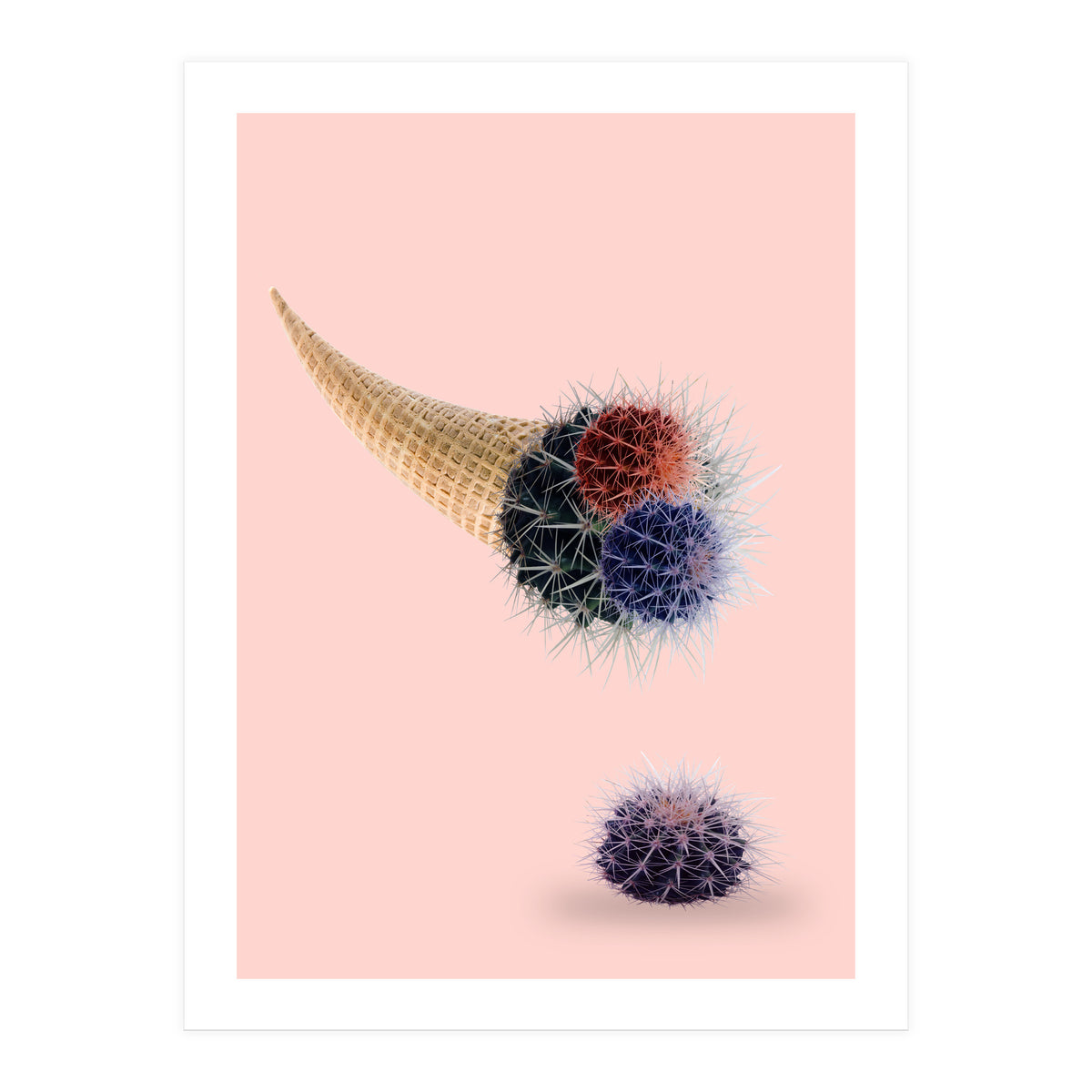 Cactus Cream 50x70 (Print Only)